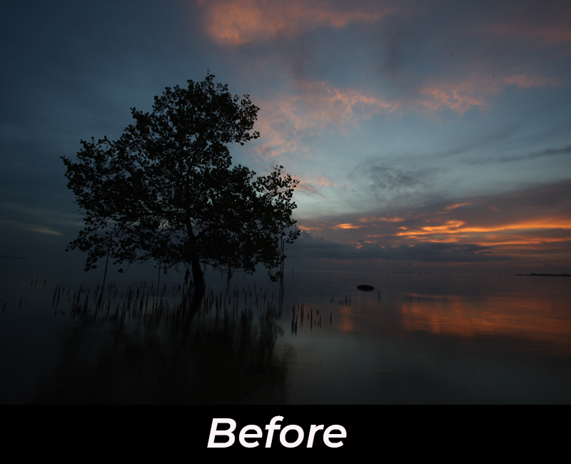 Photo editing dengan Lightroom Mobile 5