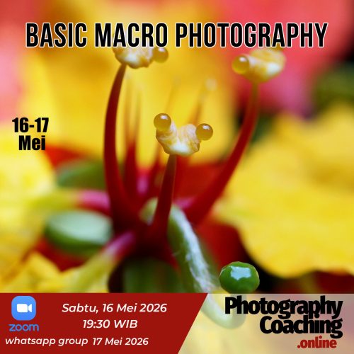 Basic Macro Photography Smartphone #11