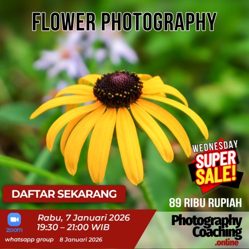 Flower Photography