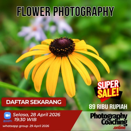Flower Photography