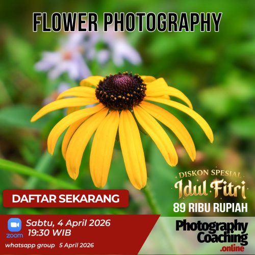 Flower Photography B10