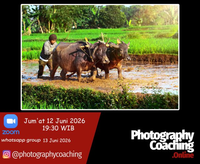 Human Interest & Portrait Photography#13 v2 pge