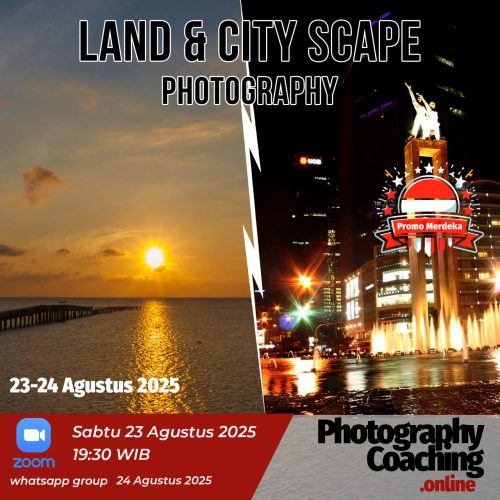 Land&City Scape #12