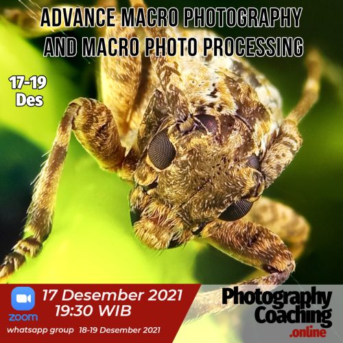 Macro Prosesing