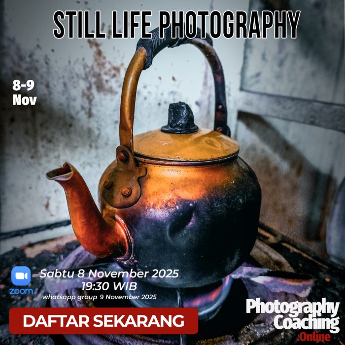 still life S