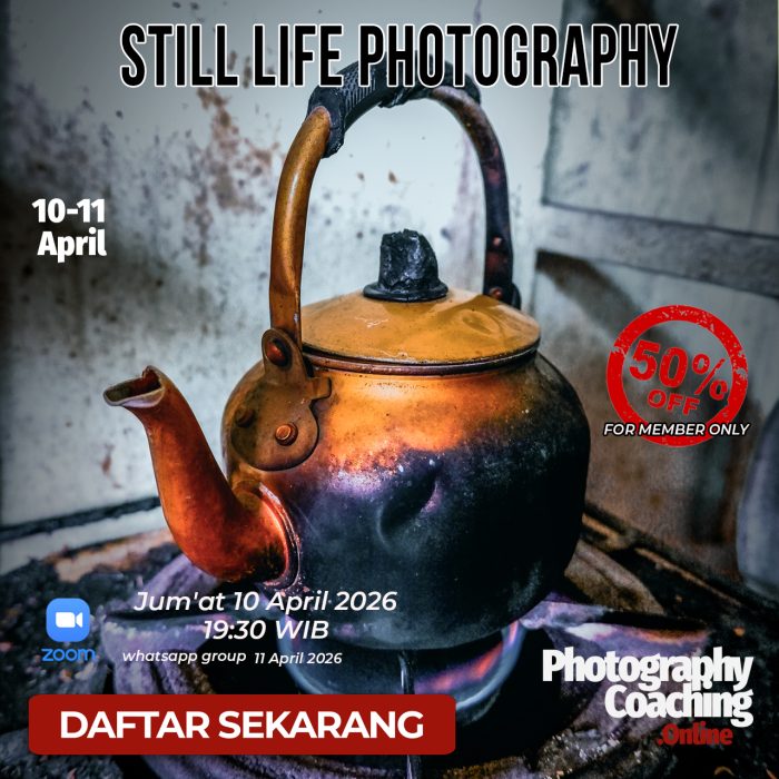 still life S member