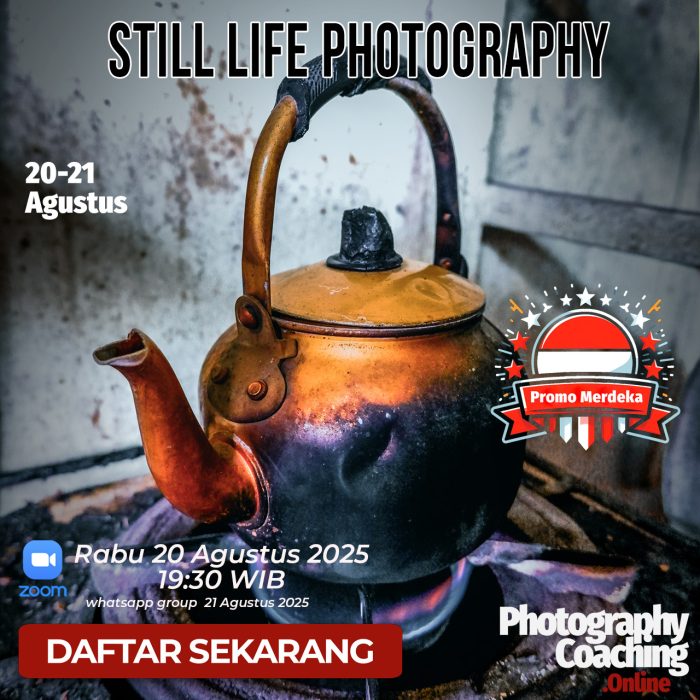 still life S